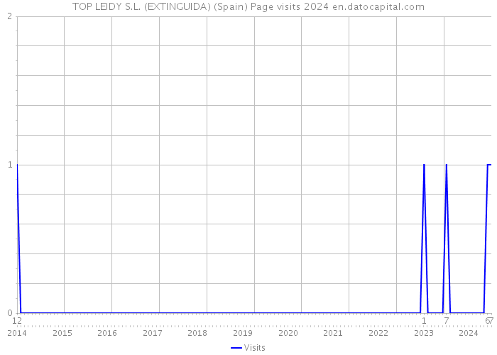 TOP LEIDY S.L. (EXTINGUIDA) (Spain) Page visits 2024 