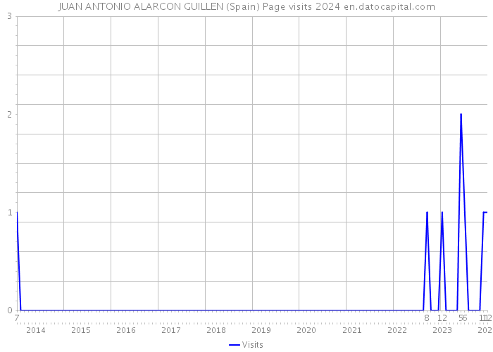 JUAN ANTONIO ALARCON GUILLEN (Spain) Page visits 2024 