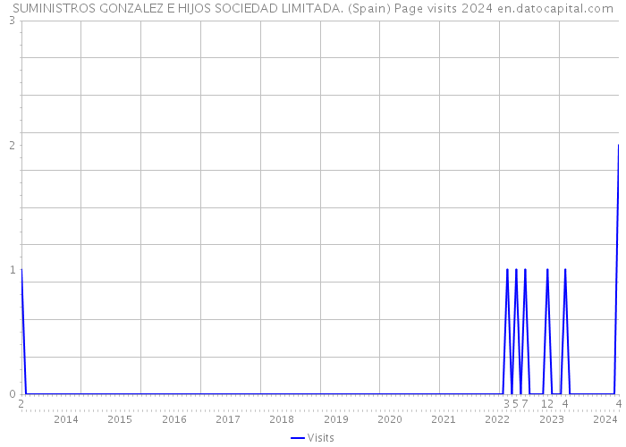 SUMINISTROS GONZALEZ E HIJOS SOCIEDAD LIMITADA. (Spain) Page visits 2024 