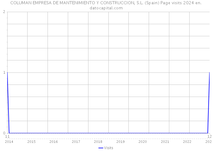 COLUMAN EMPRESA DE MANTENIMIENTO Y CONSTRUCCION, S.L. (Spain) Page visits 2024 