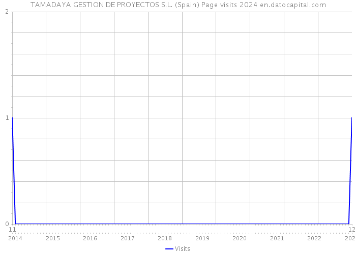 TAMADAYA GESTION DE PROYECTOS S.L. (Spain) Page visits 2024 