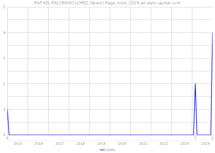 RAFAEL PALOMINO LOPEZ (Spain) Page visits 2024 