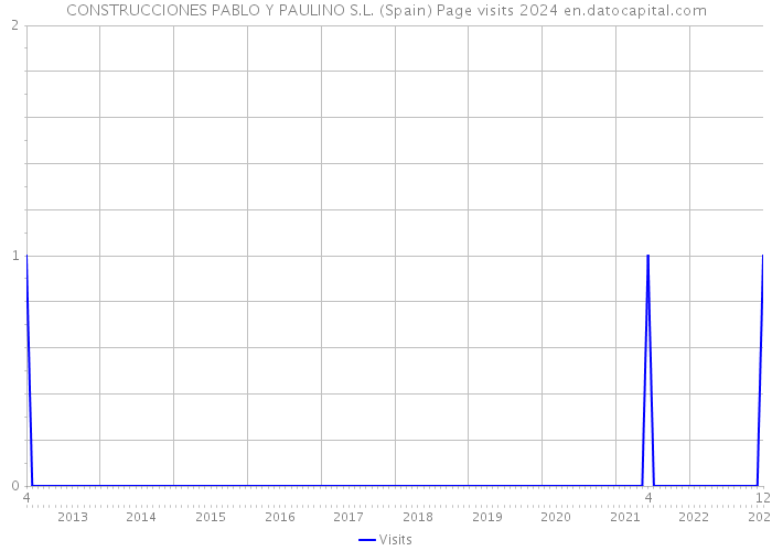 CONSTRUCCIONES PABLO Y PAULINO S.L. (Spain) Page visits 2024 