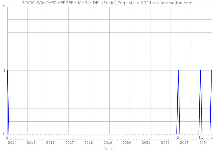 ROCIO SANCHEZ HERRERA MARIA DEL (Spain) Page visits 2024 