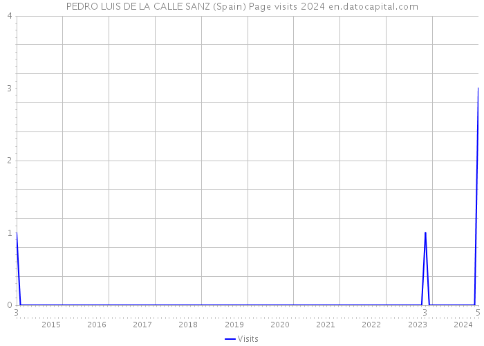 PEDRO LUIS DE LA CALLE SANZ (Spain) Page visits 2024 