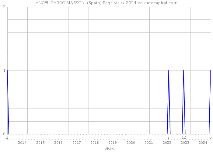 ANGEL CARRO MASSONI (Spain) Page visits 2024 
