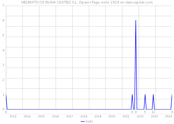 NEUMATICOS IRUNA GASTEIZ S.L. (Spain) Page visits 2024 