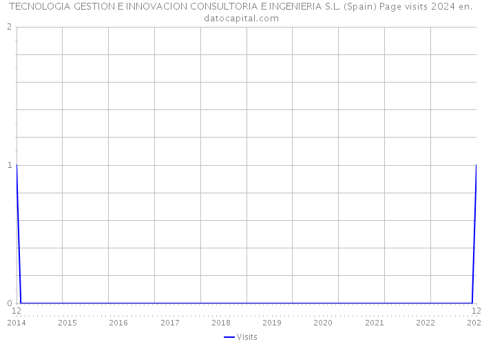 TECNOLOGIA GESTION E INNOVACION CONSULTORIA E INGENIERIA S.L. (Spain) Page visits 2024 