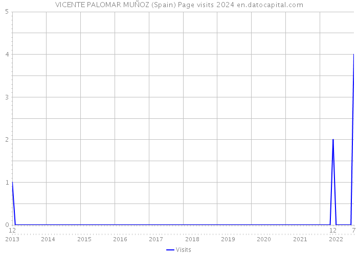VICENTE PALOMAR MUÑOZ (Spain) Page visits 2024 