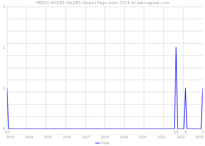PEDRO MOLES VALDES (Spain) Page visits 2024 