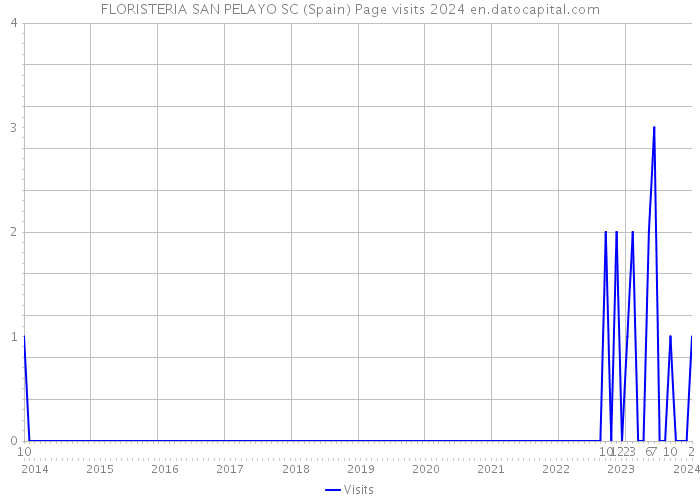 FLORISTERIA SAN PELAYO SC (Spain) Page visits 2024 
