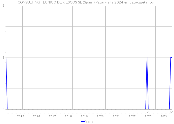 CONSULTING TECNICO DE RIESGOS SL (Spain) Page visits 2024 