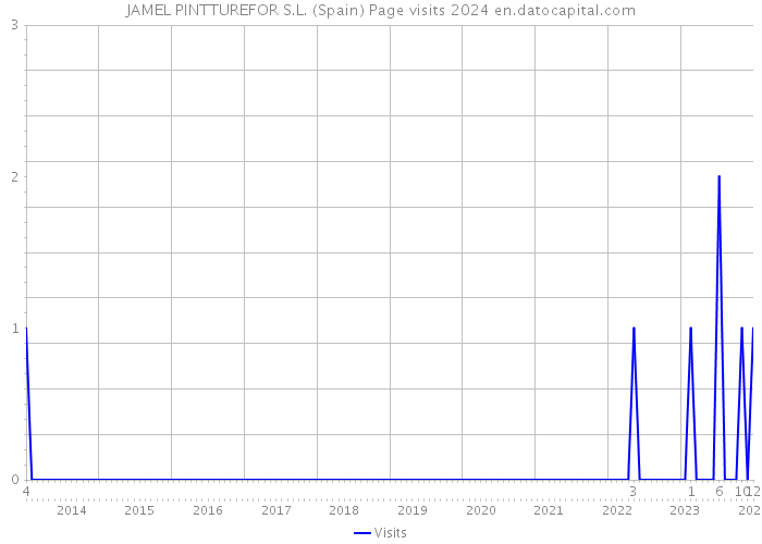 JAMEL PINTTUREFOR S.L. (Spain) Page visits 2024 