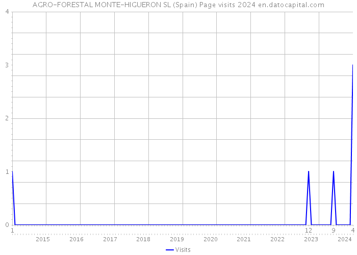 AGRO-FORESTAL MONTE-HIGUERON SL (Spain) Page visits 2024 