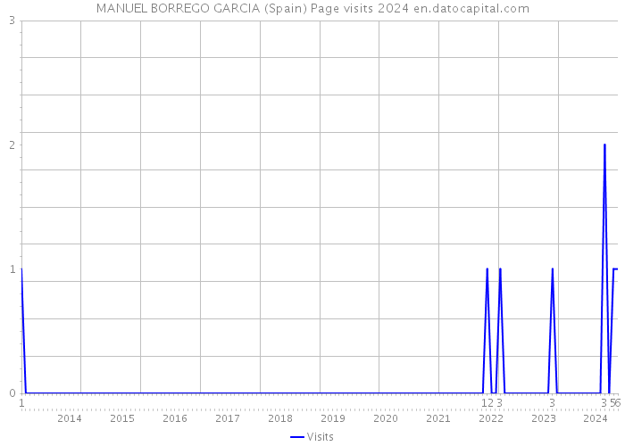 MANUEL BORREGO GARCIA (Spain) Page visits 2024 