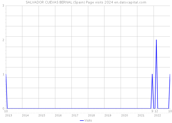 SALVADOR CUEVAS BERNAL (Spain) Page visits 2024 