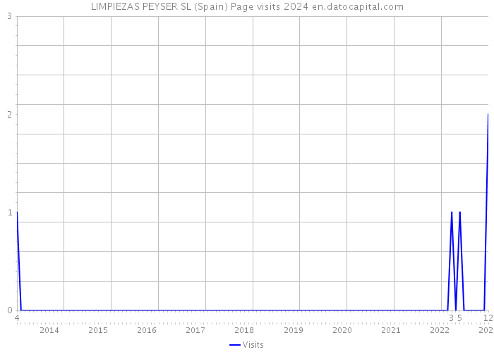 LIMPIEZAS PEYSER SL (Spain) Page visits 2024 