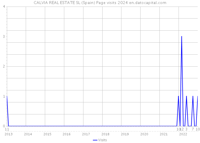CALVIA REAL ESTATE SL (Spain) Page visits 2024 