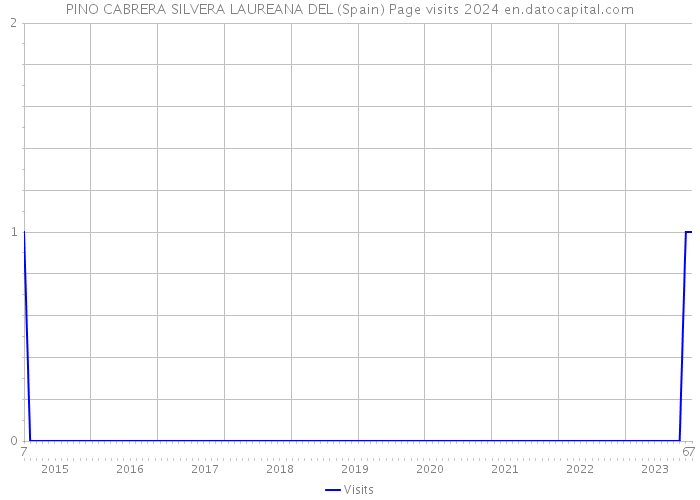 PINO CABRERA SILVERA LAUREANA DEL (Spain) Page visits 2024 