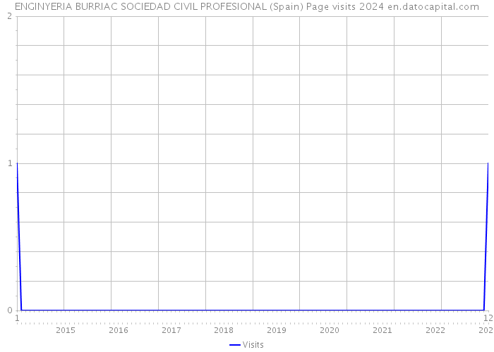 ENGINYERIA BURRIAC SOCIEDAD CIVIL PROFESIONAL (Spain) Page visits 2024 