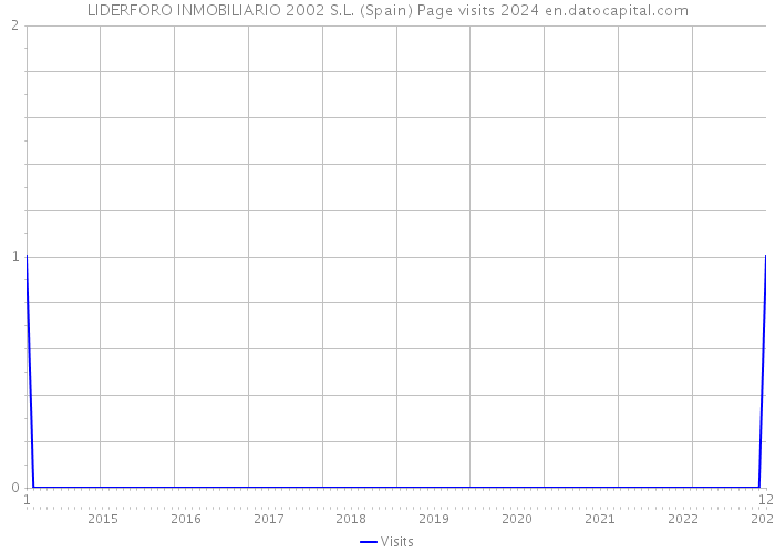 LIDERFORO INMOBILIARIO 2002 S.L. (Spain) Page visits 2024 