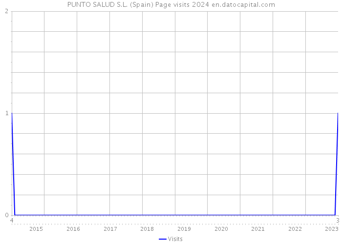 PUNTO SALUD S.L. (Spain) Page visits 2024 