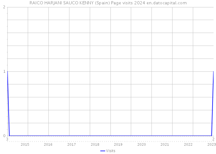 RAICO HARJANI SAUCO KENNY (Spain) Page visits 2024 