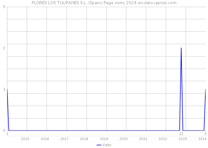FLORES LOS TULIPANES S.L. (Spain) Page visits 2024 