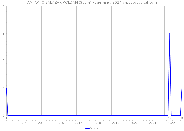ANTONIO SALAZAR ROLDAN (Spain) Page visits 2024 