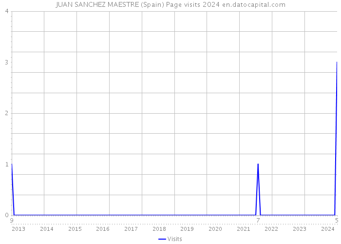 JUAN SANCHEZ MAESTRE (Spain) Page visits 2024 
