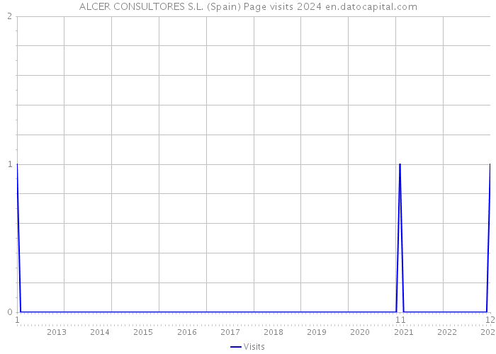 ALCER CONSULTORES S.L. (Spain) Page visits 2024 