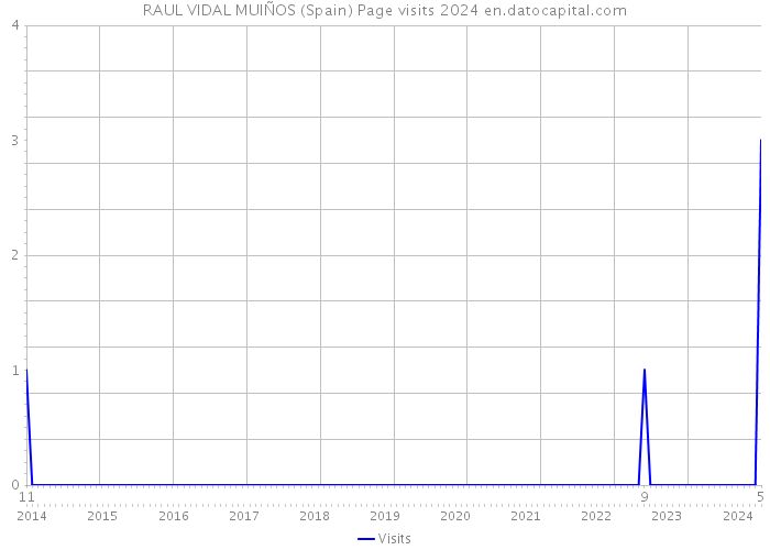 RAUL VIDAL MUIÑOS (Spain) Page visits 2024 
