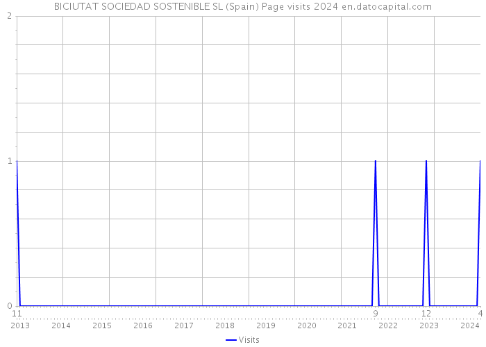 BICIUTAT SOCIEDAD SOSTENIBLE SL (Spain) Page visits 2024 