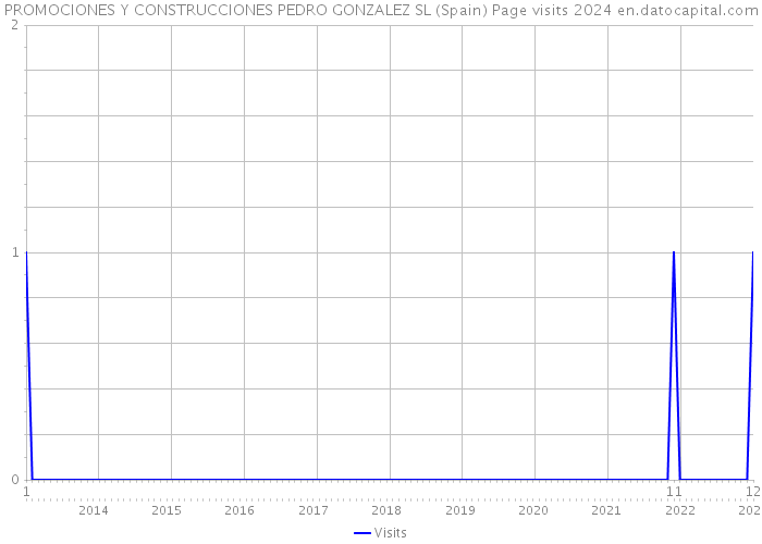 PROMOCIONES Y CONSTRUCCIONES PEDRO GONZALEZ SL (Spain) Page visits 2024 