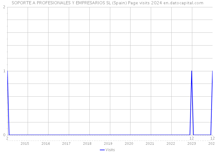 SOPORTE A PROFESIONALES Y EMPRESARIOS SL (Spain) Page visits 2024 