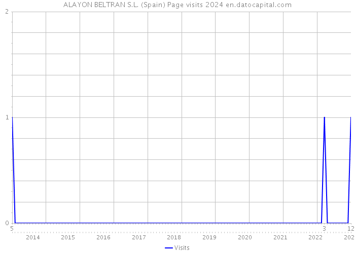 ALAYON BELTRAN S.L. (Spain) Page visits 2024 