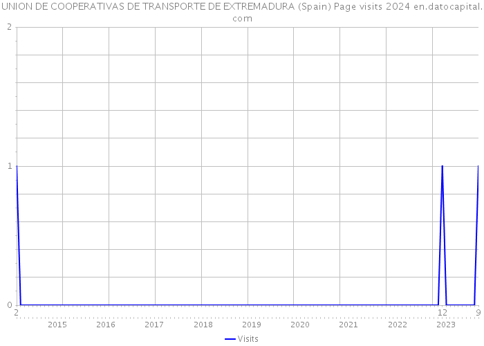 UNION DE COOPERATIVAS DE TRANSPORTE DE EXTREMADURA (Spain) Page visits 2024 