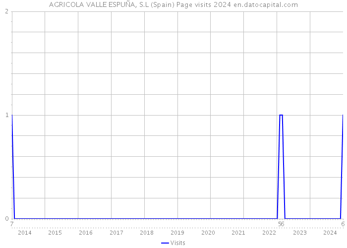 AGRICOLA VALLE ESPUÑA, S.L (Spain) Page visits 2024 