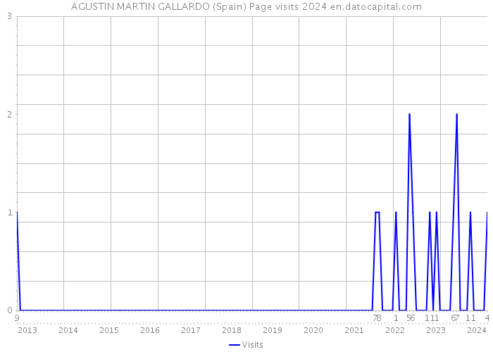AGUSTIN MARTIN GALLARDO (Spain) Page visits 2024 
