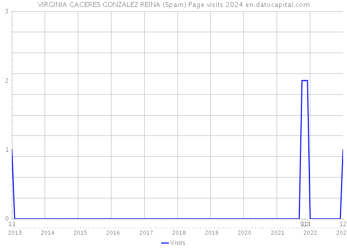 VIRGINIA CACERES GONZALEZ REINA (Spain) Page visits 2024 
