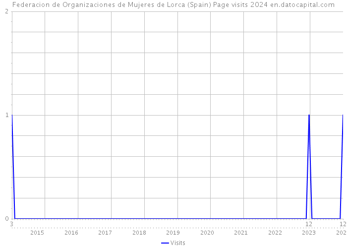 Federacion de Organizaciones de Mujeres de Lorca (Spain) Page visits 2024 
