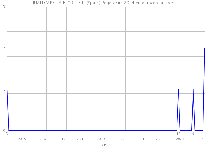 JUAN CAPELLA FLORIT S.L. (Spain) Page visits 2024 