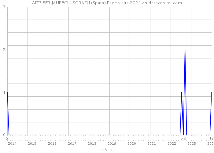 AITZIBER JAUREGUI SORAZU (Spain) Page visits 2024 