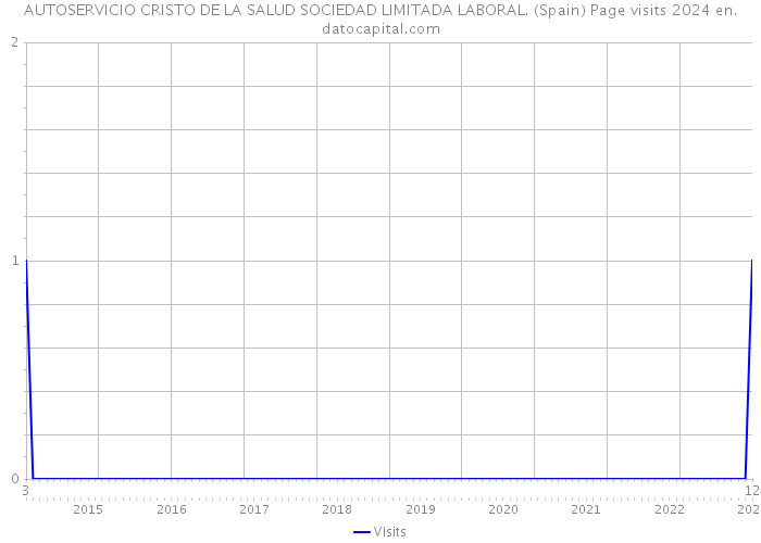 AUTOSERVICIO CRISTO DE LA SALUD SOCIEDAD LIMITADA LABORAL. (Spain) Page visits 2024 