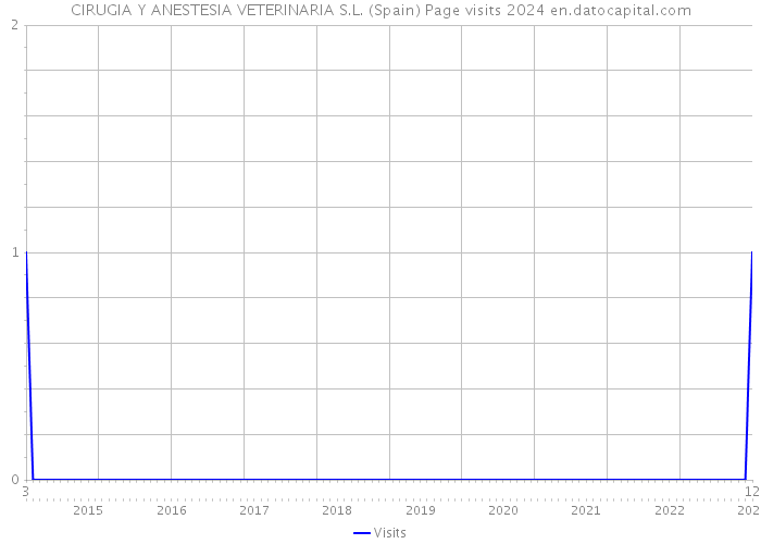 CIRUGIA Y ANESTESIA VETERINARIA S.L. (Spain) Page visits 2024 
