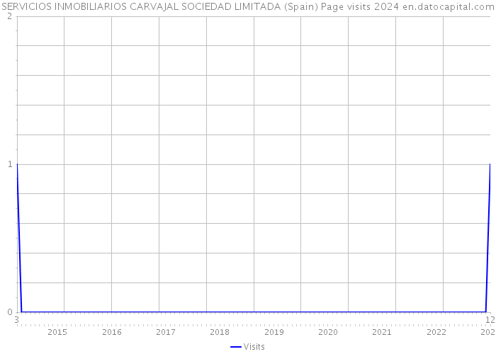 SERVICIOS INMOBILIARIOS CARVAJAL SOCIEDAD LIMITADA (Spain) Page visits 2024 