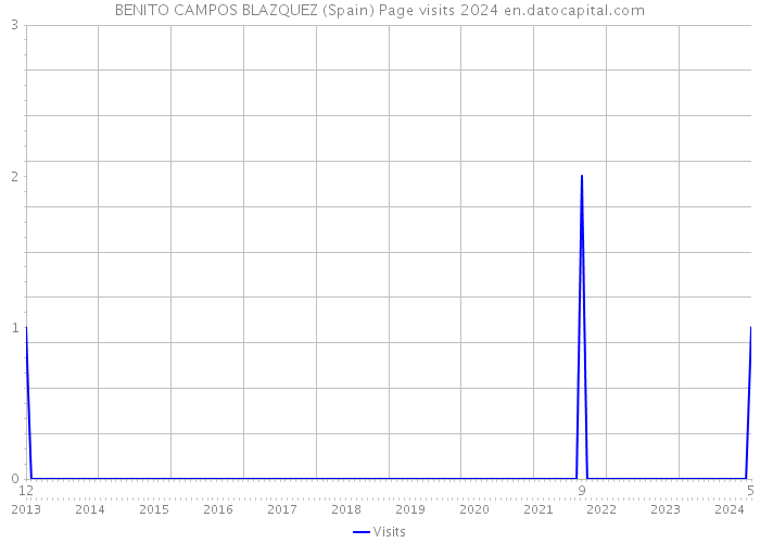 BENITO CAMPOS BLAZQUEZ (Spain) Page visits 2024 