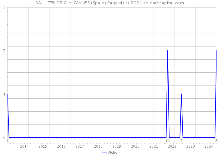 RAUL TENORIO HUMANES (Spain) Page visits 2024 
