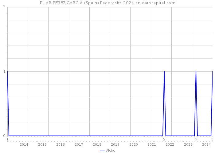 PILAR PEREZ GARCIA (Spain) Page visits 2024 
