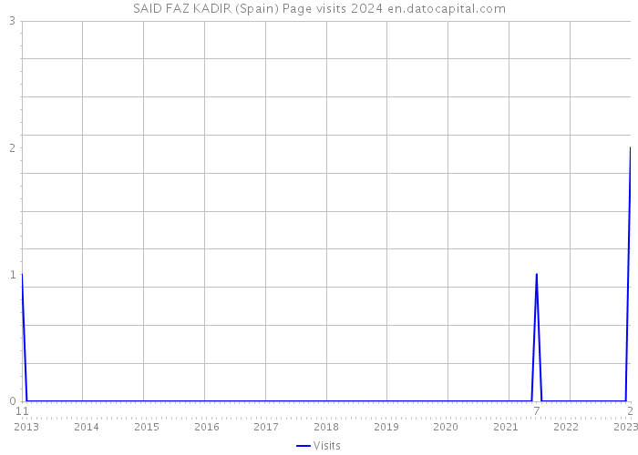 SAID FAZ KADIR (Spain) Page visits 2024 